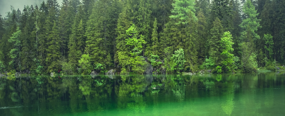 The Website Is No Longer the Marketing Hub: How AI Is Reshaping Customer Journeys