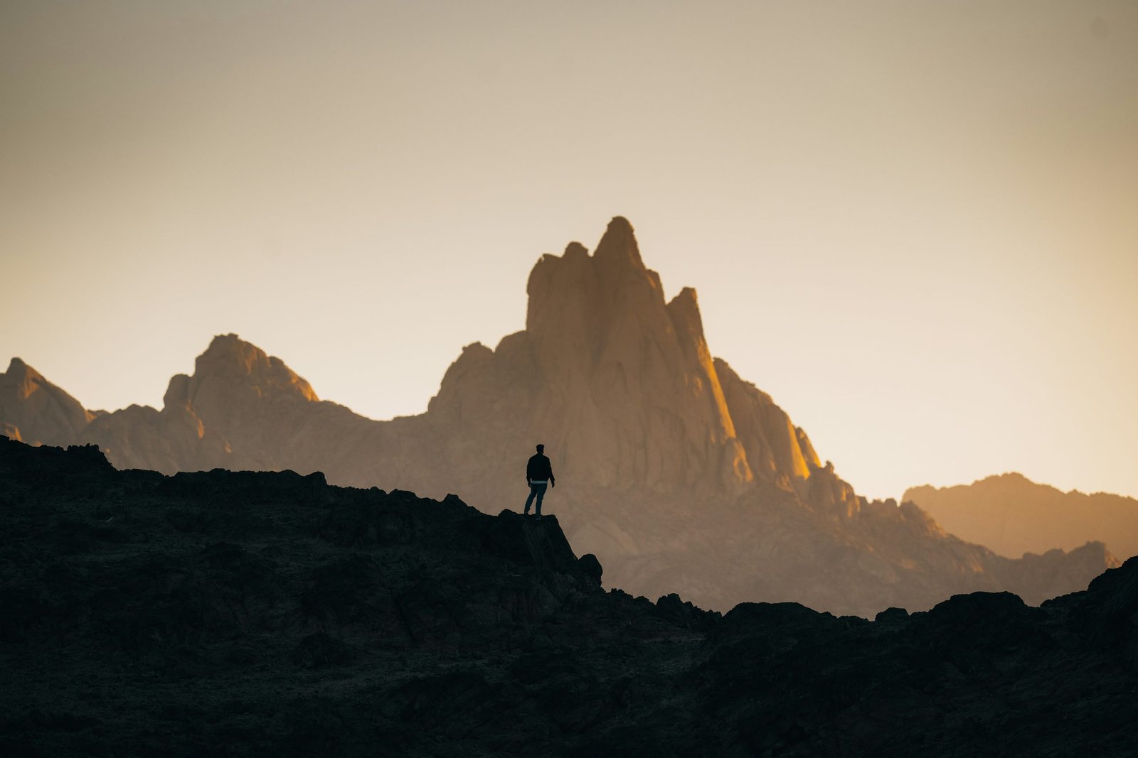 An Holistic Framework for Shared Design Leadership